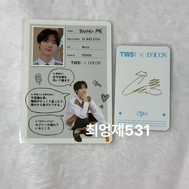 [BUNJANG] TWS DICON Japan Popup Youngjae Photocard Bundle Set / 투어스 디아이콘 일본 팝업 영재 포카 구매특전 프로필카드 일괄