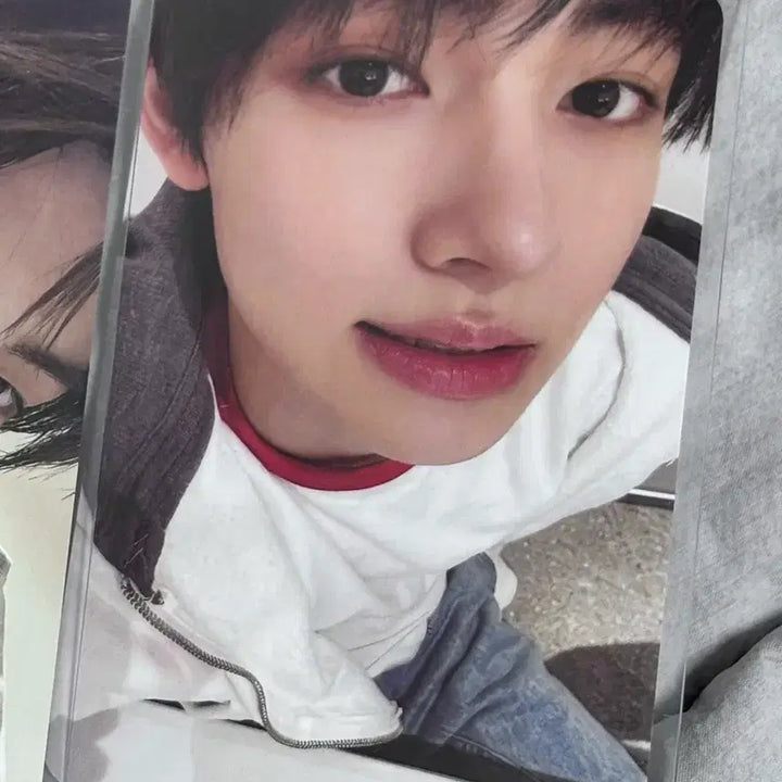 [BUNJANG] ISWEUL Sungyun Lucky Draw Photocard / 코르티스 성현 그린그린 이즈위 럭드 양도 판매 교환