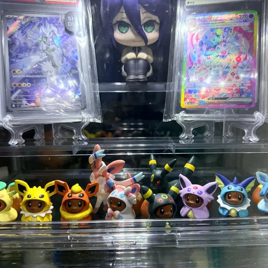 [BUNJANG] Pokemon Center Limited Edition Poncho Eevee Evolution Tree 8 Types Full Set / 오늘만 이 가격 포켓몬센터 한정판 판쵸 이브이 진화트리 8종 풀셋