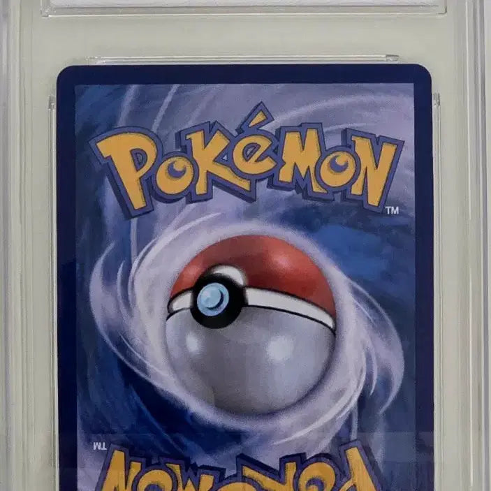 [BUNJANG] Pokemon Card Olongteol SAR BRG 10 / 포켓몬카드 마리의 오롱털 SAR BRG 10