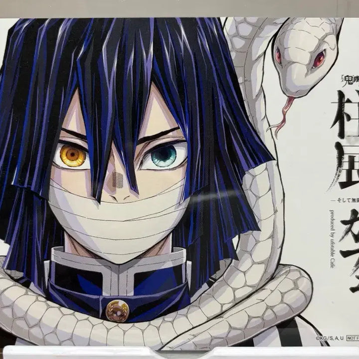 [BUNJANG] Demon Slayer: Kimetsu no Yaiba - Obanai Iguro Ufotable Cafe Limited Edition Postcard / 귀멸의칼날 하시라전 오바나이 ufotable cafe 특전 엽서