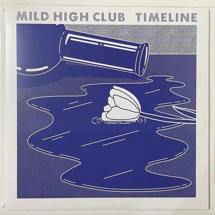 [BUNJANG] Mild High Club &amp; Elliott Smith "Either/Or" Vinyl LP/CD Bundle Set / Mild High Club(마일드하이클럽) &amp; Elliott Smith(앨리엇 스미스)LP/CD