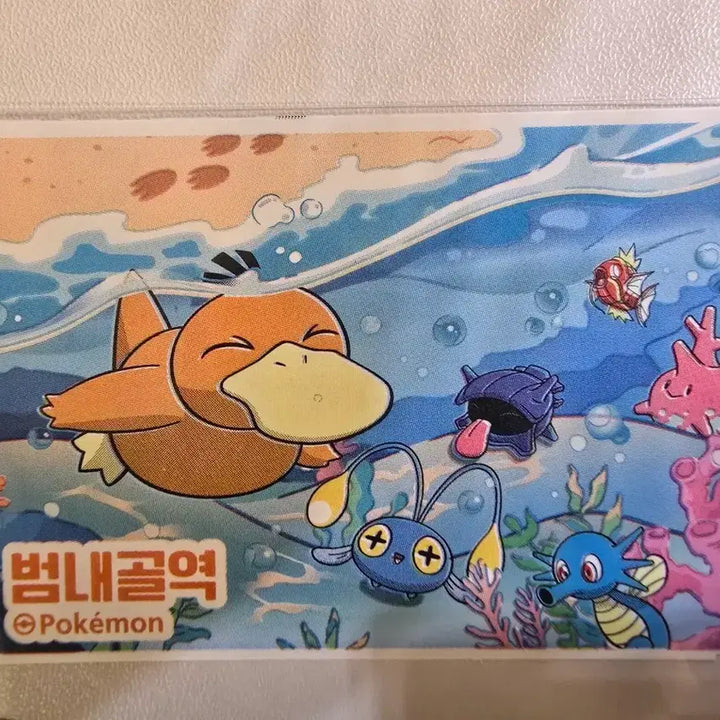 [BUNJANG] 2026 Busan Pokemon Festa Illustration Ticket Set (5 Types) / [수집용] 2026 부산 포켓몬 페스타 일러스트 승차권 5종 세트