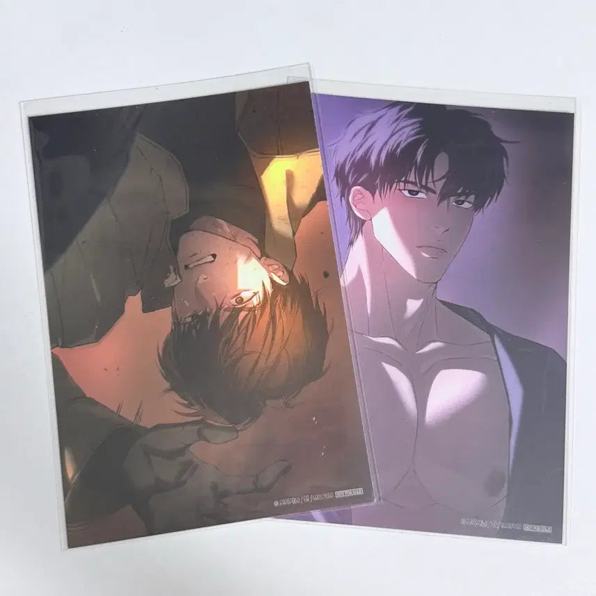 [BUNJANG] Mofun Code Ana Behind Set Photocard / 모펀 코드아나 비하인드세트
