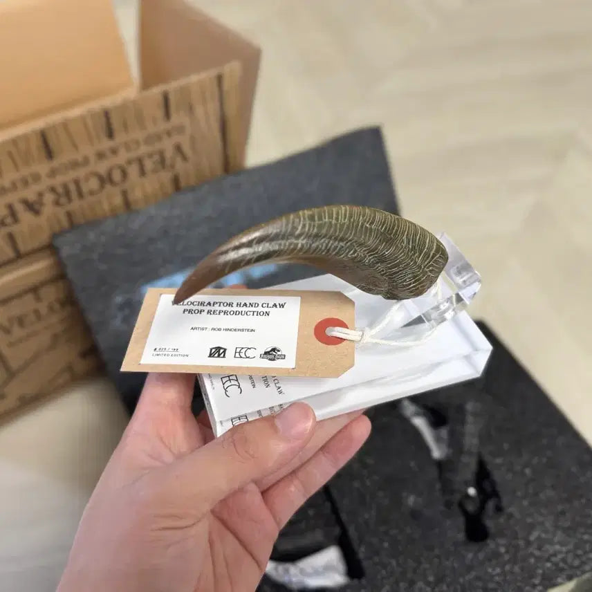 [BUNJANG] ECC Jurassic Park Velociraptor Claw Replica / ECC 쥬라기공원 벨로시랩터 손톱 레플리카