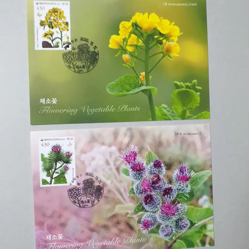 [BUNJANG] Chaesokot Stamp Museum Maximum Postcard / 채소꽃 우표박물관 맥시멈 엽서