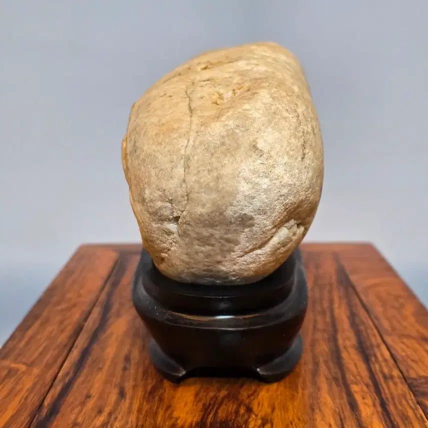 [BUNJANG] Namhan River Pattern Stone (Suseok) with Interesting Moon Pattern / 26071718 양 문양이 재미있는 남한강 문양석 수석 팝니다