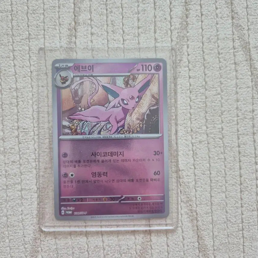 [BUNJANG] Pokemon Card Eevee Terastal Festa Promo / 포켓몬카드 테라스탈페스타 에브이 프로모
