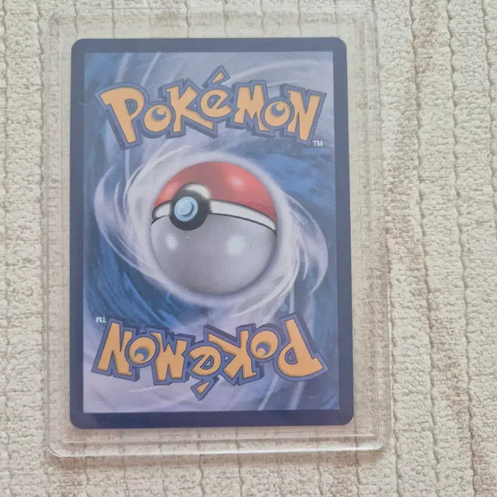 [BUNJANG] Pokemon Card Eevee Terastal Festa Promo / 포켓몬카드 테라스탈페스타 에브이 프로모