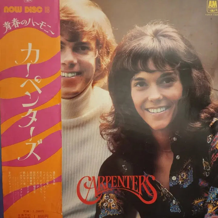 [BUNJANG] Carpenters Best LP Japanese Compilation / 추천 카펜터스 Carpenters BEST LP