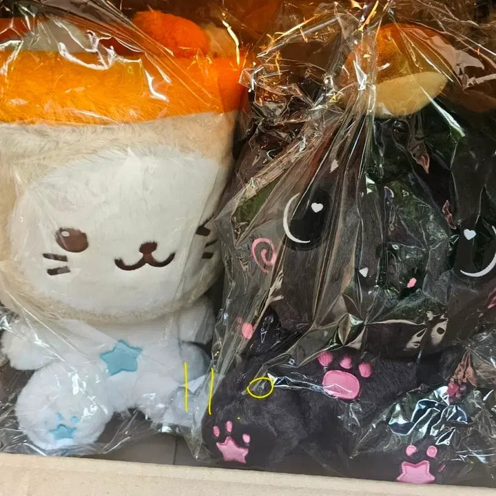 [BUNJANG] NCT WISH 30cm Plush Doll Kuryu Riku Bundle Set / 엔시티위시 위시 30cm위시돌 버블냥 쿠리 유우시 리쿠 미개봉 일괄