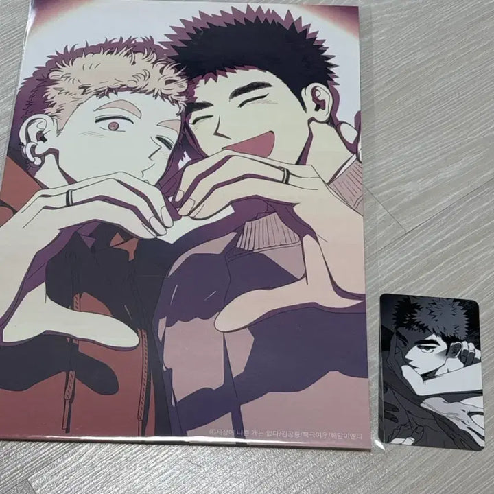 [BUNJANG] SenaGae Poster Photocard Bundle Set / 세상에 나쁜 개는 없다 세나개 포스터 컬포 포카 포토카드 일괄