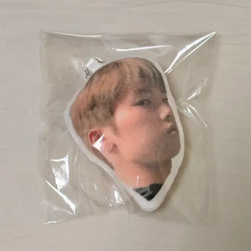 [BUNJANG] XDINARY HEROES Jungsu Unofficial Goods Suspect Mini Doll / 엑디즈 정수 비공굿 의심기니 인형