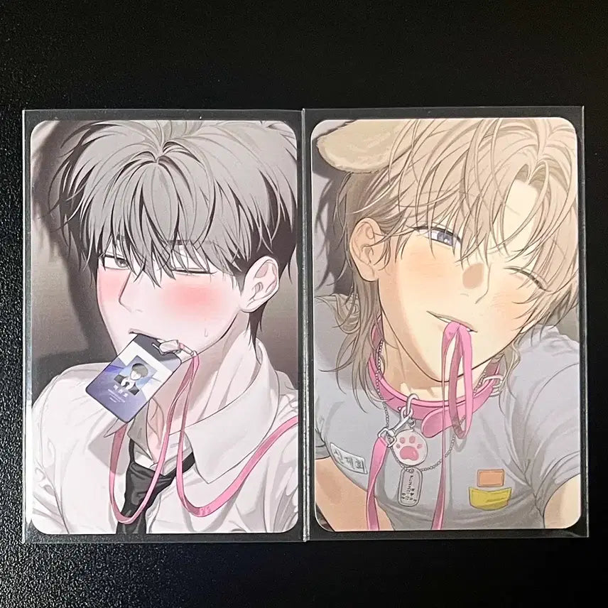 [BUNJANG] Mible Company 5th Special Bundle Set / 미블컴퍼니 사용후반품불가 사반불 5특 일괄