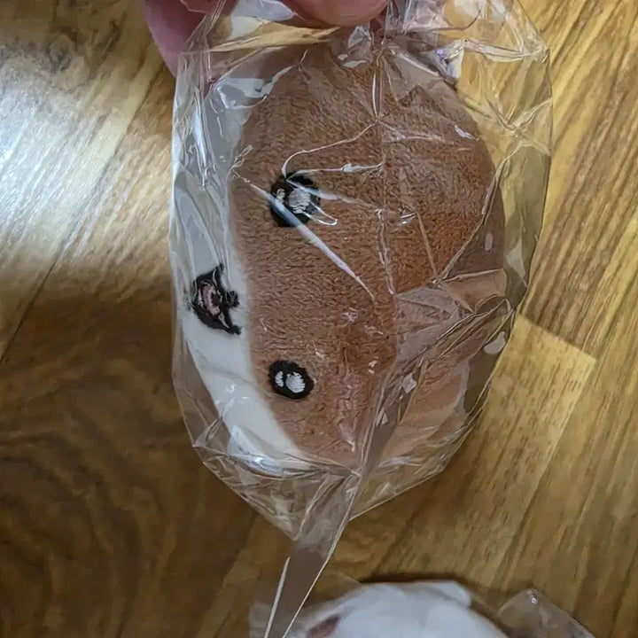 [BUNJANG] Nagano Aquarium Otter Keychain / 나가노수족관 수달 키링
