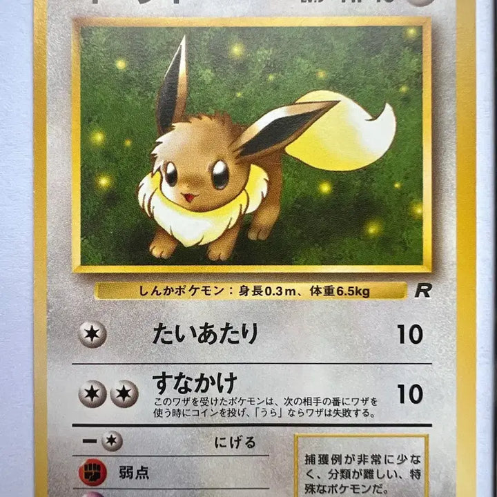 [BUNJANG] Pokemon Early Japanese Edition Team Rocket Eevee, Machoke, Primeape, Electrode Card Set / 희소) 포켓몬, 포켓몬스터 초기 일판 로켓단 이브이 근육몬 성원숭 붐볼 카드 세트 (포켓몬카드)