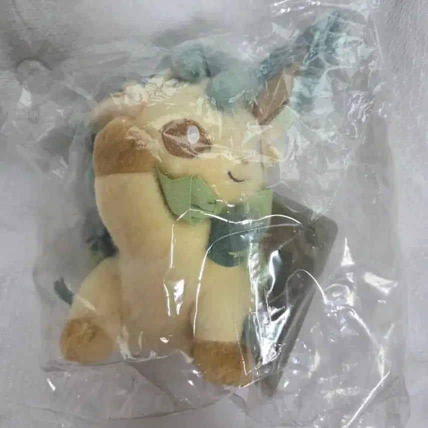[BUNJANG] Eevee Collection Eevee High Five Lihpia Photocard / 이브이 컬렉션 하이파이브 리피아