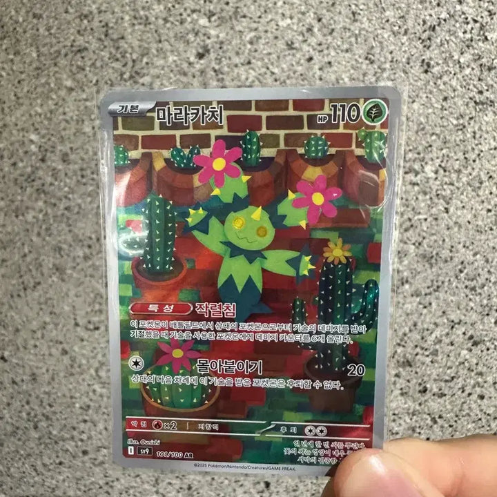 [BUNJANG] Pokemon Card Marakachi AR Grade / 포켓몬카드 마라카치 ar 배틀파트너즈