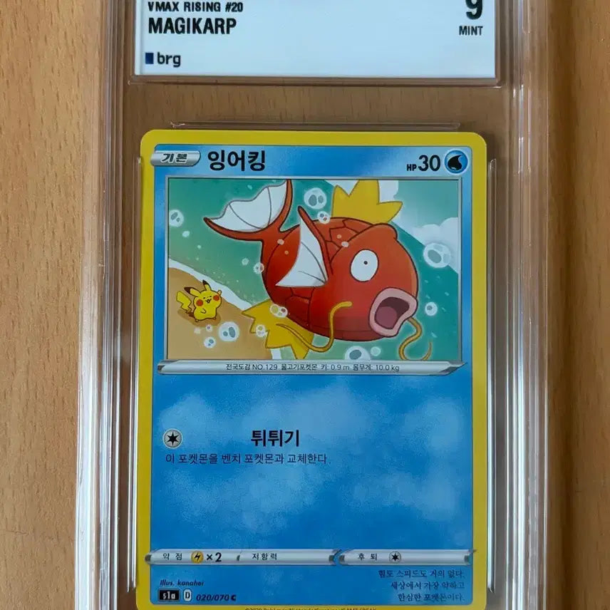 [BUNJANG] Pokemon Card Magikarp VMAX Rising BRG Graded 9 / 포켓몬 카드 잉어킹 VMAX 라이징 brg 9 등급 팝니다