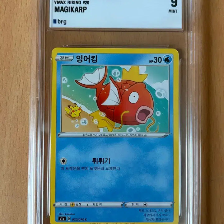 [BUNJANG] Pokemon Card Magikarp VMAX Rising BRG Graded 9 / 포켓몬 카드 잉어킹 VMAX 라이징 brg 9 등급 팝니다