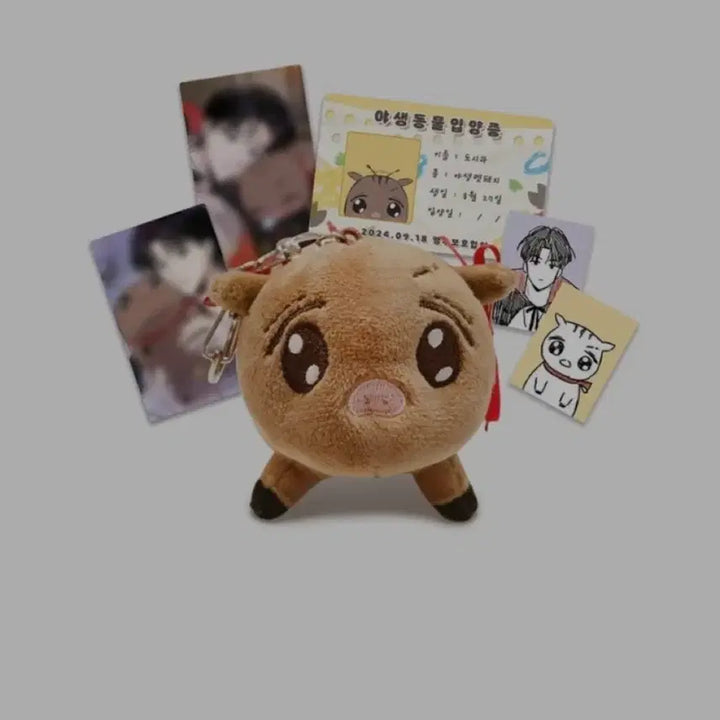 [BUNJANG] Jaimishop Dosira Doll Keychain Package Sealed / 재이미샵 도시라 인형 키링 패키지 미개봉 원가양도 1995 청춘레포트