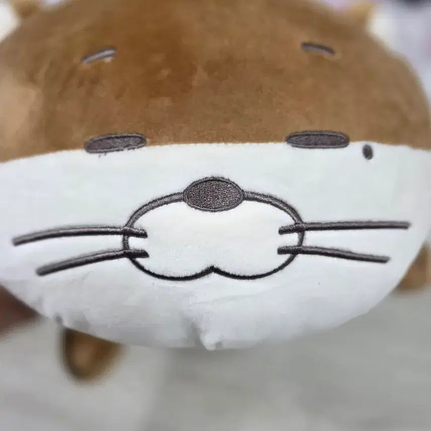 [BUNJANG] BOYNEXTDOOR Darling Cushion / 보넥도 달링이 쿠션 인형