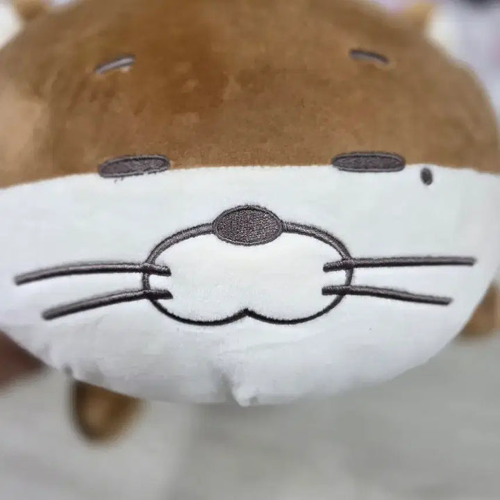 [BUNJANG] BOYNEXTDOOR Darling Cushion / 보넥도 달링이 쿠션 인형