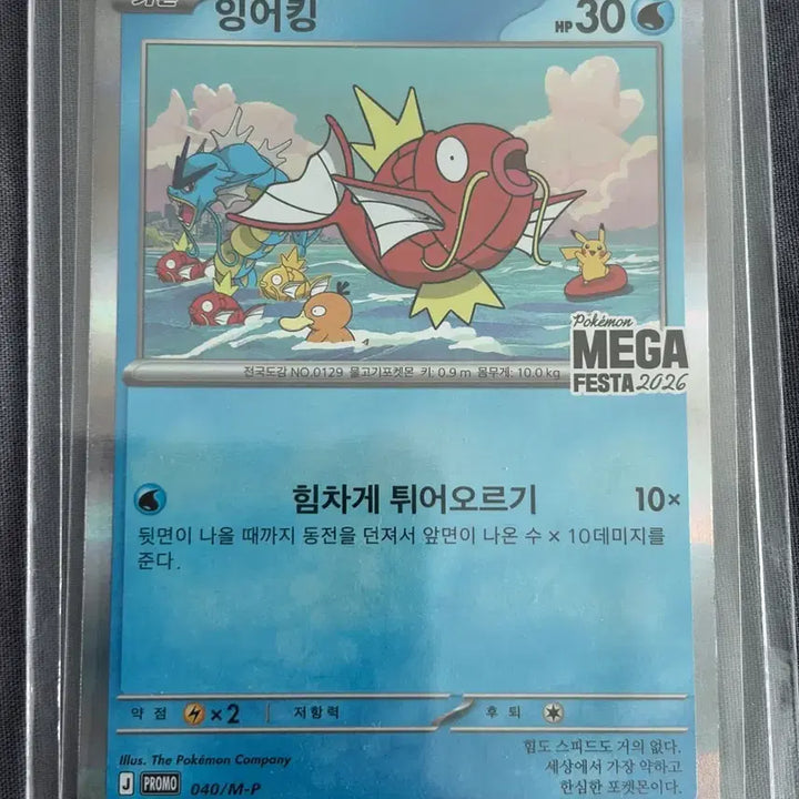 [BUNJANG] Pokemon Card Magikarp MEGA FESTA 2026 PROMO (3 Cards) / 포켓몬카드 잉어킹 프로모 2026 PROMO magikarp