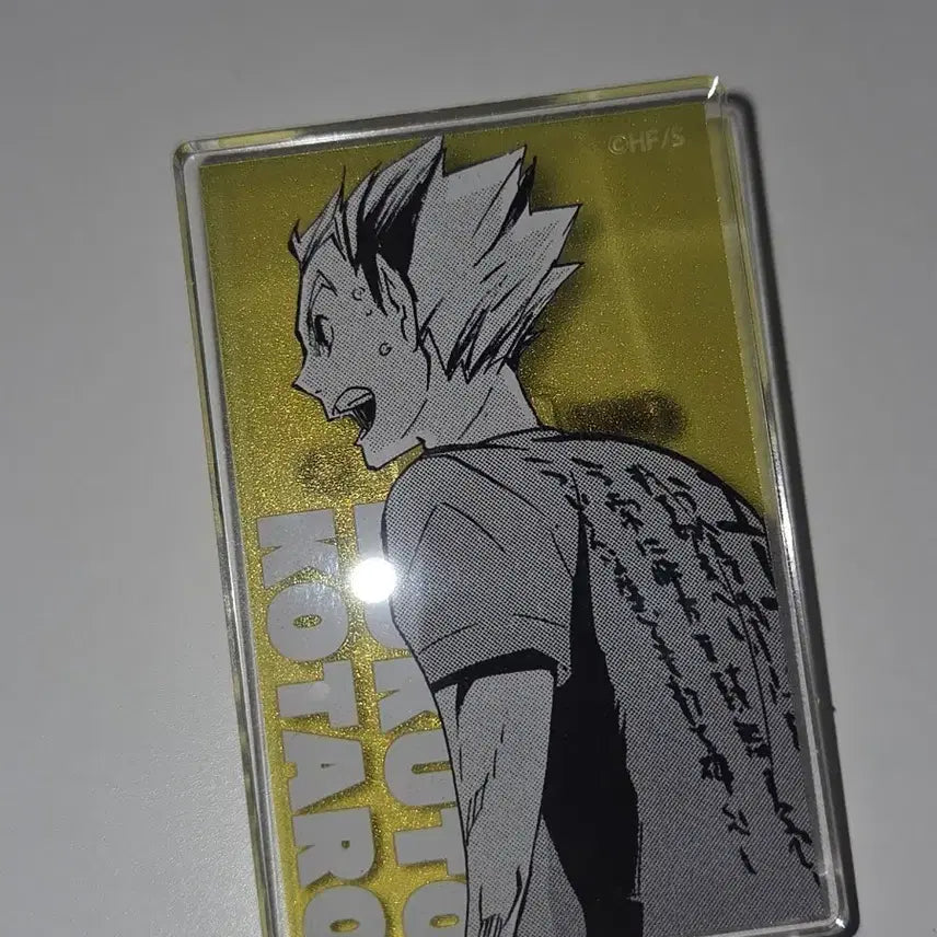 [BUNJANG] Haikyuu!! Fanpark Bokuto Ace&