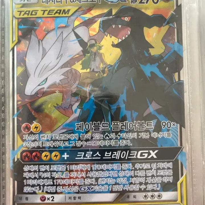 [BUNJANG] Tag Team Reshiram &amp; Zekrom GX S-Rank / 태그팀 레시라무&amp;제크로무 GX (급처)