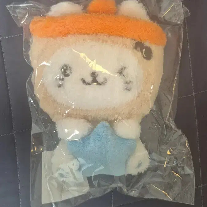 [BUNJANG] NCT WISH StarWishDoll Bubble Cat Photocard (Sealed) / (미개봉) 엔시티위시 스타위시돌 버블냥