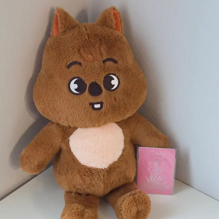[BUNJANG] Stray Kids Han Teddy Bear Photocard / 팜) skz 스키즈 스키주 한쿼카 테디베어