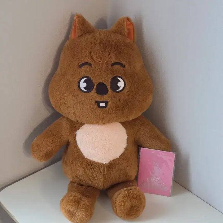 [BUNJANG] Stray Kids Han Teddy Bear Photocard / 팜) skz 스키즈 스키주 한쿼카 테디베어