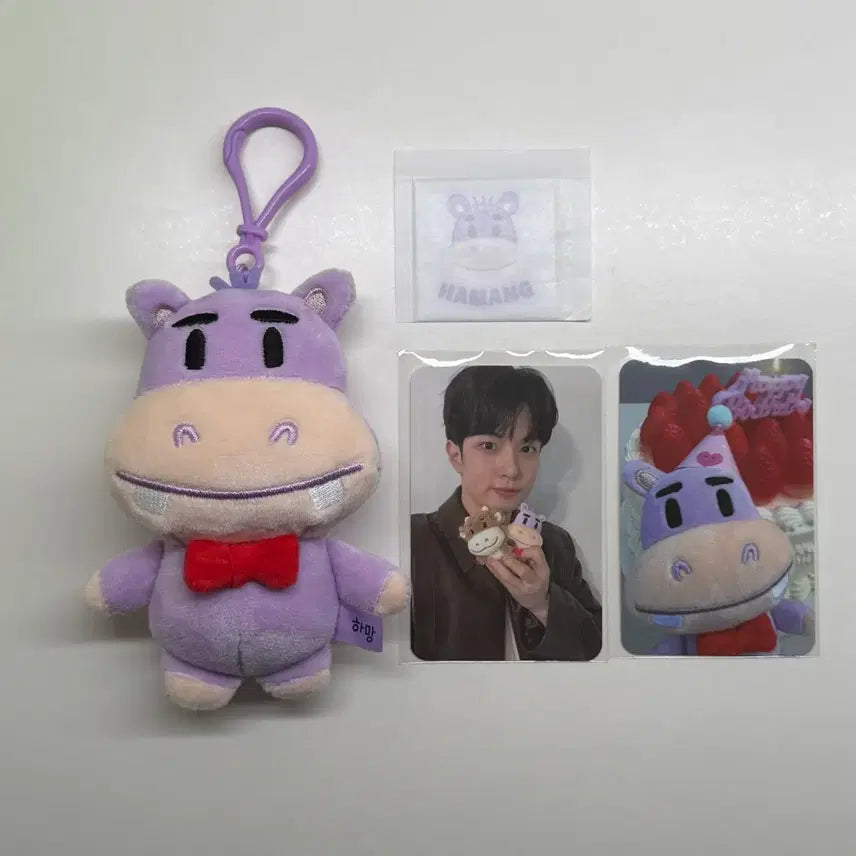 [BUNJANG] N.Flying Yoo Hwe Seung Hamangi Photocard / 엔플라잉 유회승 하망이 포카