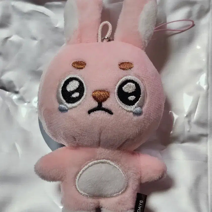 [BUNJANG] DAY6 Wonpil Puengpil Acrylic Keyring / 원필 시크릿 키링 뿌엥필 양도합니다.