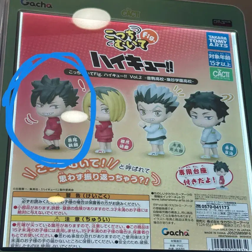 [BUNJANG] Haikyuu!! Tetsuro Kuroo &