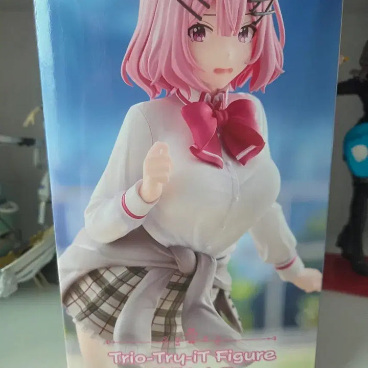 [BUNJANG] Amaori Renako &