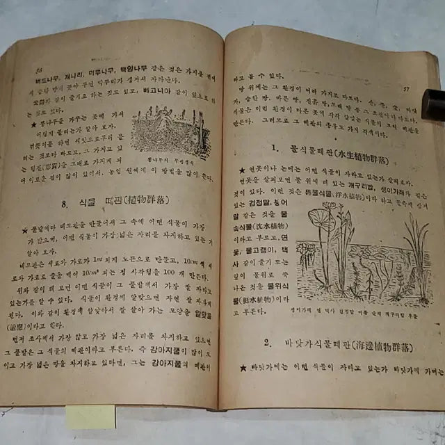 [BUNJANG] 1952 General Science: Plant Kingdom Educational Material / 1336) 한국전쟁중 교육자료.1952년(4285년) 일반과학 식물계