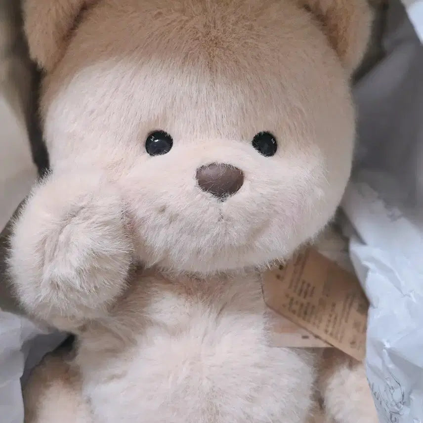 [BUNJANG] Teddy Tales Lena Bear Milk Tea Long Hair M / 테디테일즈 레나베어 밀크티 장모 M