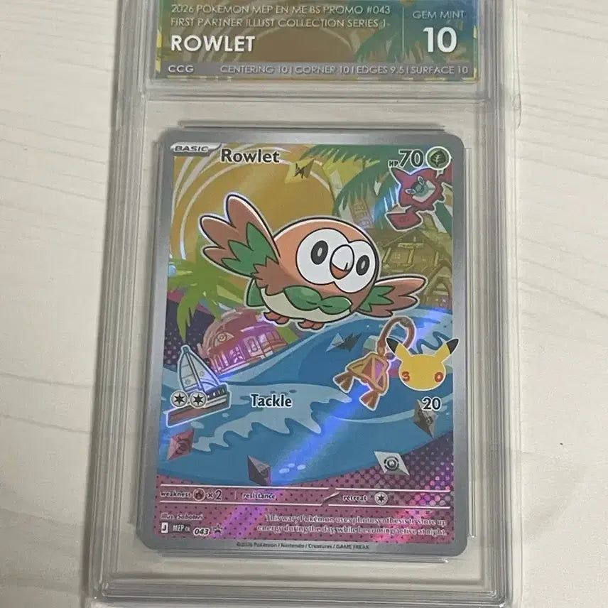 [BUNJANG] Graded Card Confirmation Pool - Oripa / 등카(등급 카드) 확정 오리파 개설