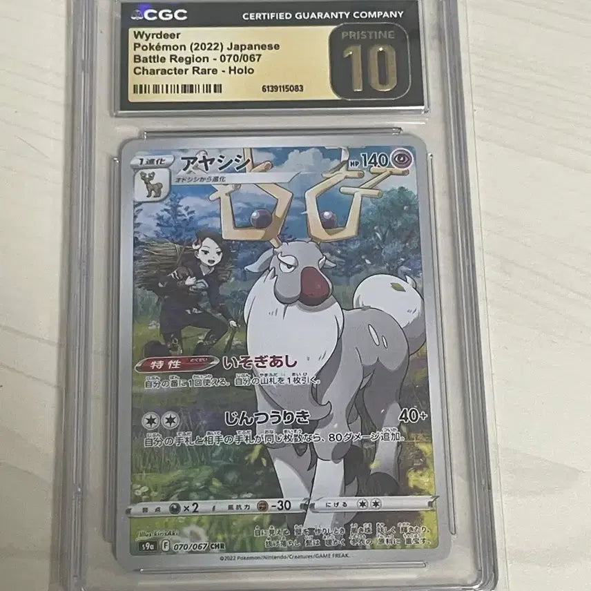 [BUNJANG] Graded Card Confirmation Pool - Oripa / 등카(등급 카드) 확정 오리파 개설