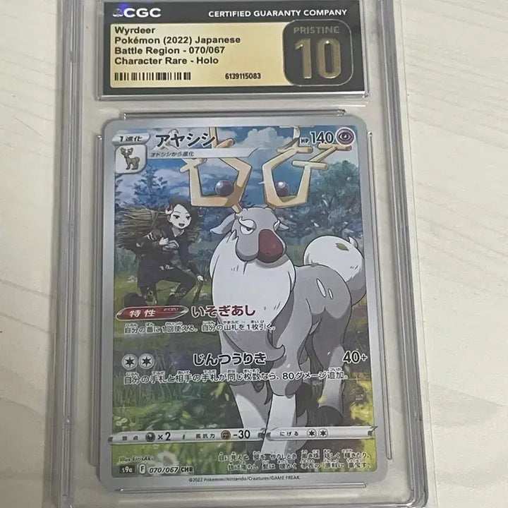 [BUNJANG] Graded Card Confirmation Pool - Oripa / 등카(등급 카드) 확정 오리파 개설