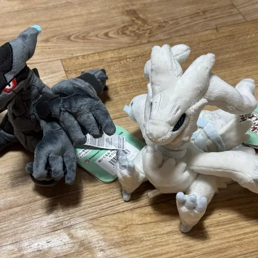 [BUNJANG] Pokemonfit Reshiram Zekrom Set / 포켓몬fit 레시라무 제크로무 세트