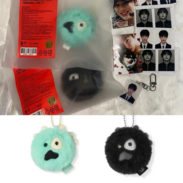 [BUNJANG] TFN Kisu Mini Cortis Ball Keyring Bundle Set / 미니 코르티스 볼 TNT 버전 키링 / 인형 건호 증사