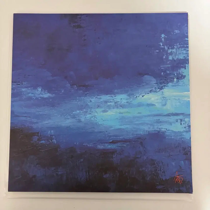 [BUNJANG] AKMU Sailing LP (Unsealed) / 악뮤 항해lp 팝니다(개봉)