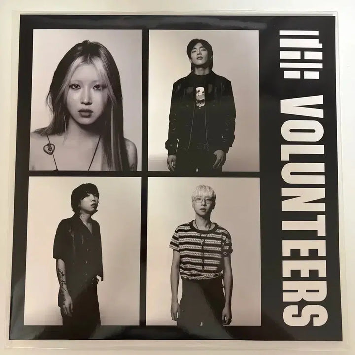 [BUNJANG] The Volunteers LP (Unsealed) / 더발룬티어스 lp 팝니다(개봉)