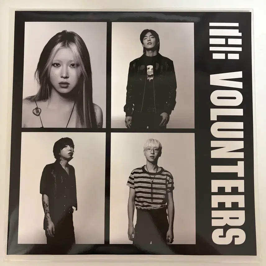 [BUNJANG] The Volunteers LP (Unsealed) / 더발룬티어스 lp 팝니다(개봉)