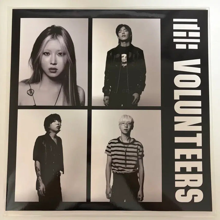 [BUNJANG] The Volunteers LP (Unsealed) / 더발룬티어스 lp 팝니다(개봉)