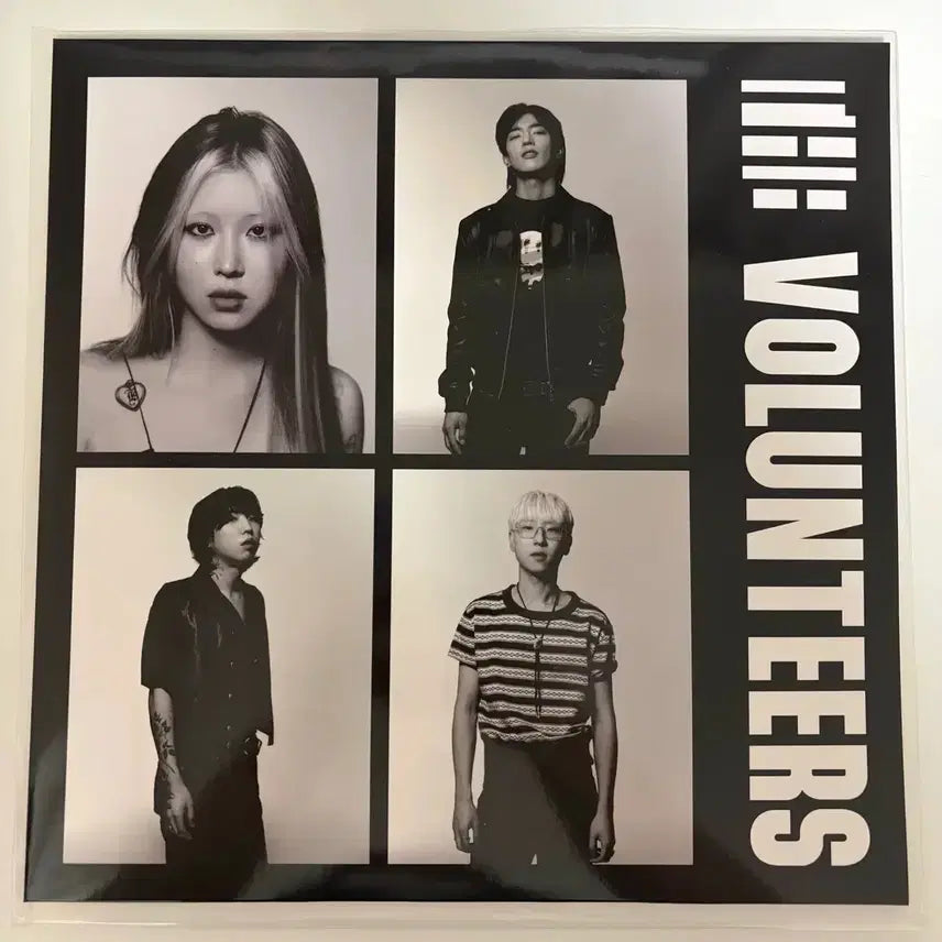 [BUNJANG] The Volunteers LP (Unsealed) / 더발룬티어스 lp 팝니다(개봉)