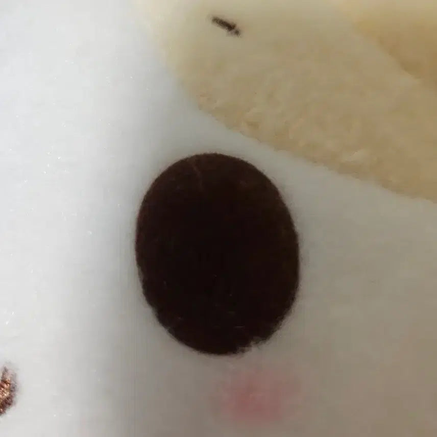 [BUNJANG] Sanrio Marshmallow Plush Toy (25cm, Medium) / 산리오마슈마로인형25cm 마슈마로중형